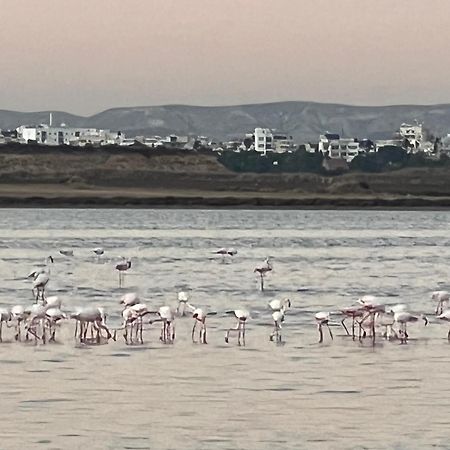 Salt Lake Larnaca Exterior photo